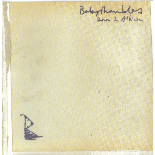 Babyshambles - Down In Albion (CD nuevo)
