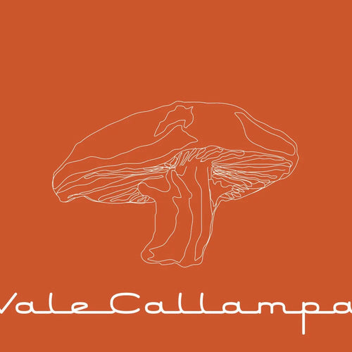Cafe Tacuba - Vale Callampa (CD nuevo)