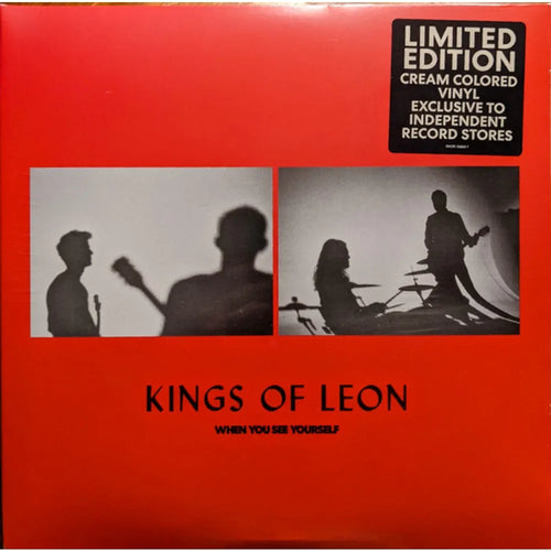 Kings Of Leon - When You See Yourself (2LP nuevo)