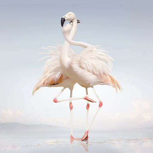Rustie - Green Language (Vinilo Doble 2LP nuevo)