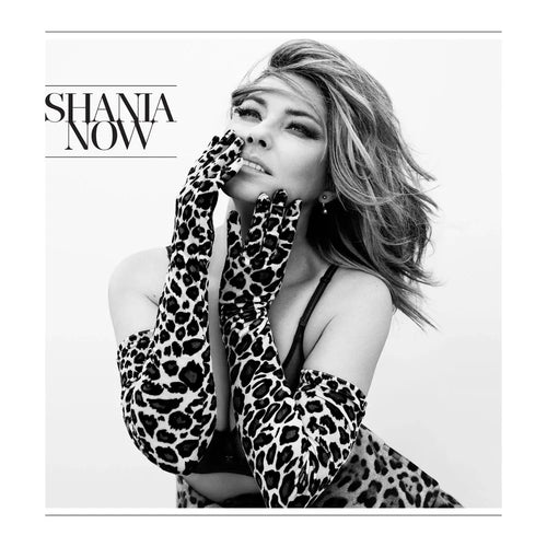 Shania Twain - Now (CD nuevo)