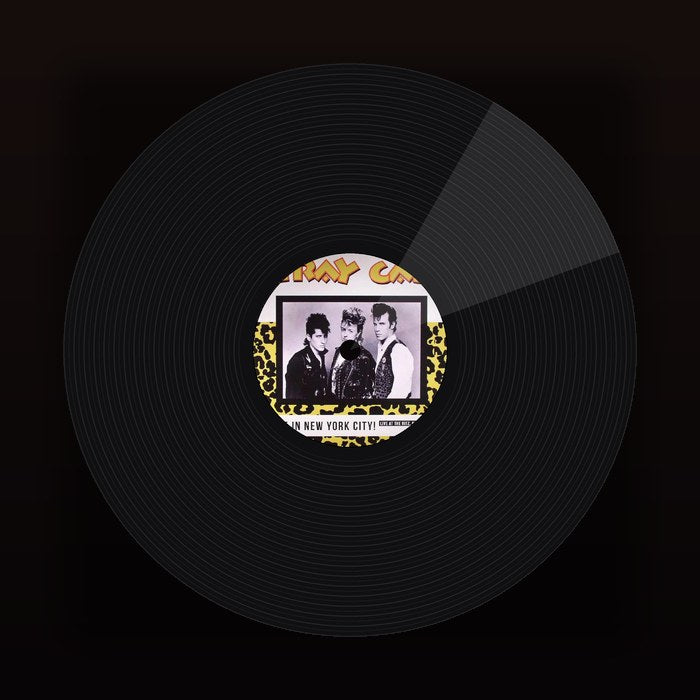 Vinilo