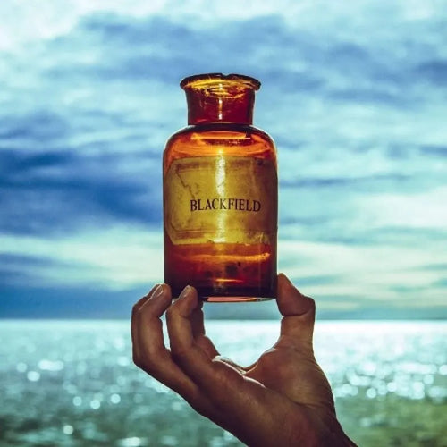 Blackfield - Blackfield V (Vinilo LP nuevo)