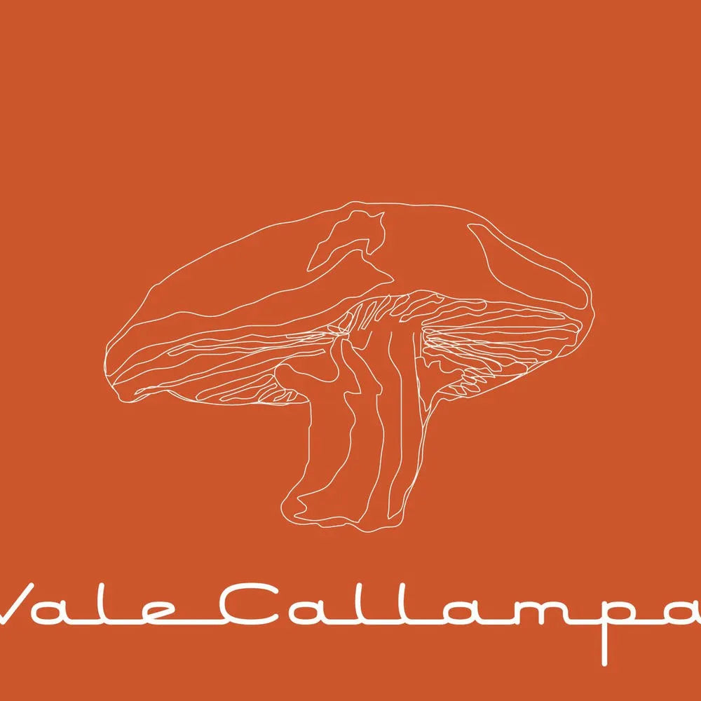Cafe Tacuba - Vale Callampa (CD nuevo)