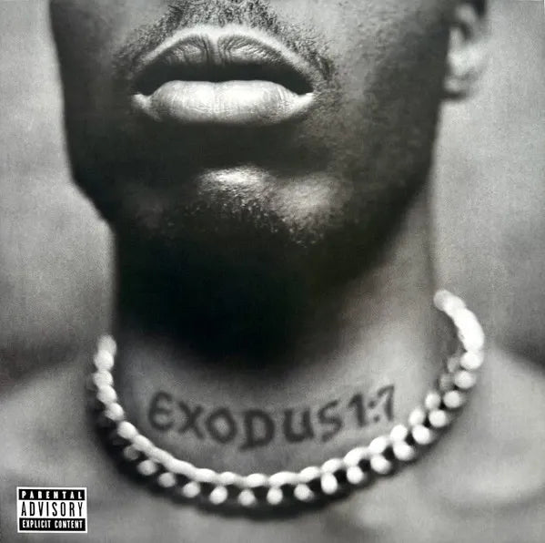 Dmx - Exodus (Vinilo LP nuevo)