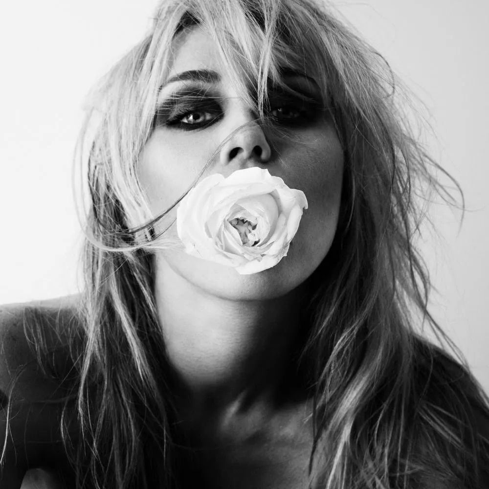 Miley Cyrus - Bass Persuades (CD nuevo)