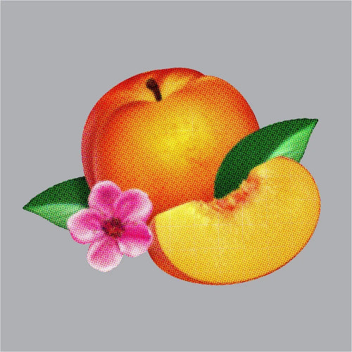 Phoenix - Bankrupt! (Vinilo LP nuevo)
