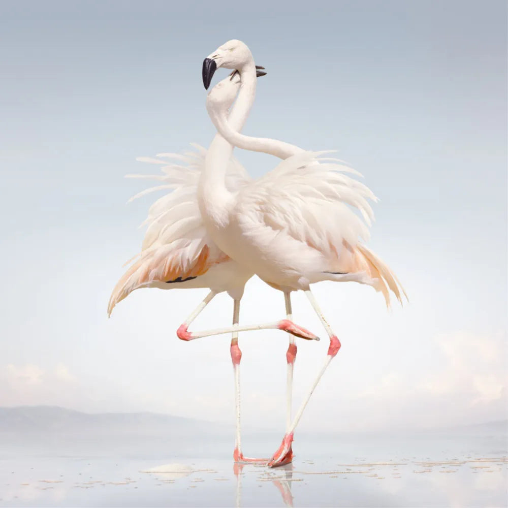 Rustie - Green Language (Vinilo Doble 2LP nuevo)