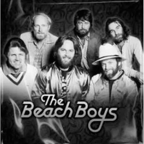 The Beach Boys - The Beach Boys (Vinilo LP nuevo)
